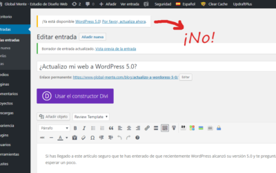 ¿Actualizo mi web a WordPress 5.0?