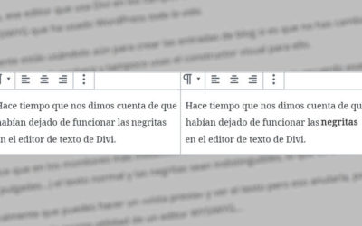 ¿No ves las negritas en el editor de texto de Divi?